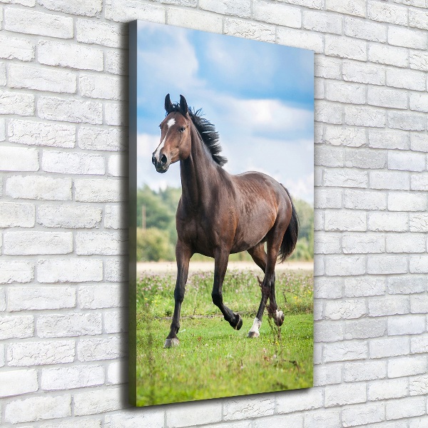Verticale foto op canvas Een paard in een veld