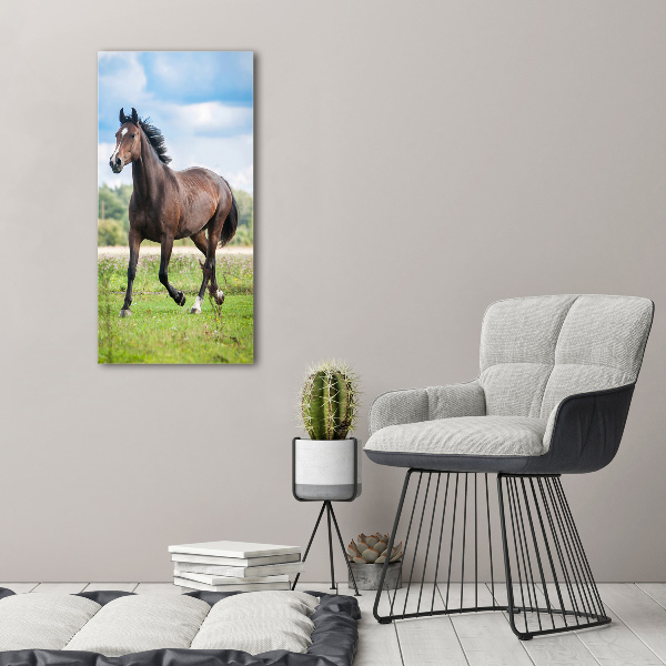 Verticale foto op canvas Een paard in een veld