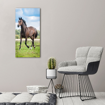 Verticale foto op canvas Een paard in een veld