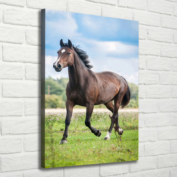 Verticale foto op canvas Een paard in een veld