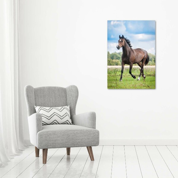 Verticale foto op canvas Een paard in een veld