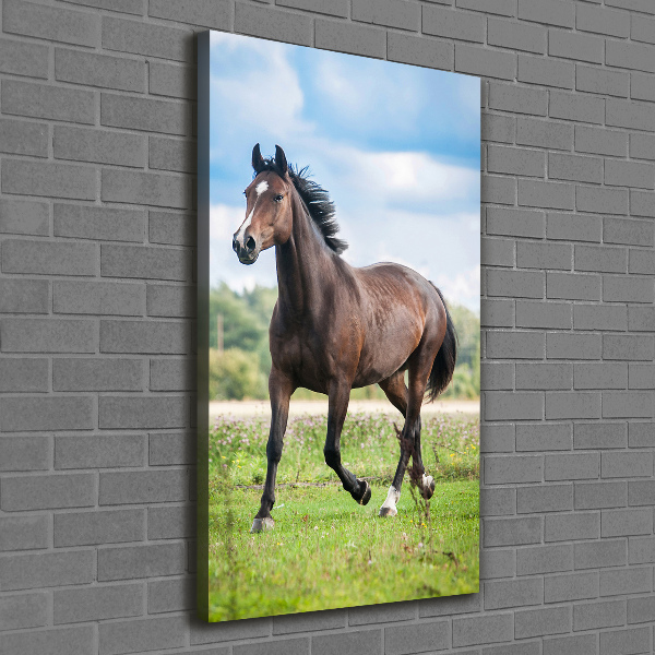 Verticale foto op canvas Een paard in een veld