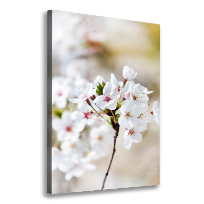 Verticale canvasfoto Kersenbloesems