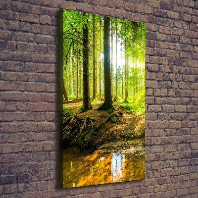 Foto obraz na płótnie pionowy Słońce w lesie