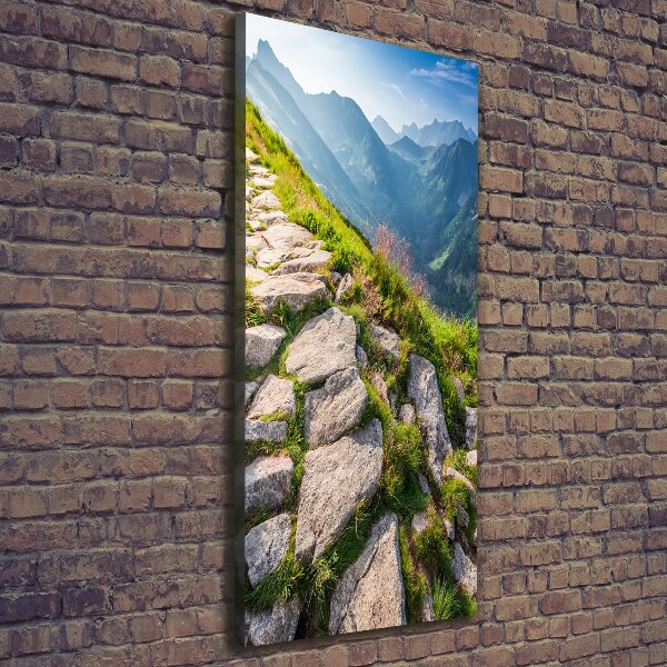 Verticale foto op canvas Bergpad