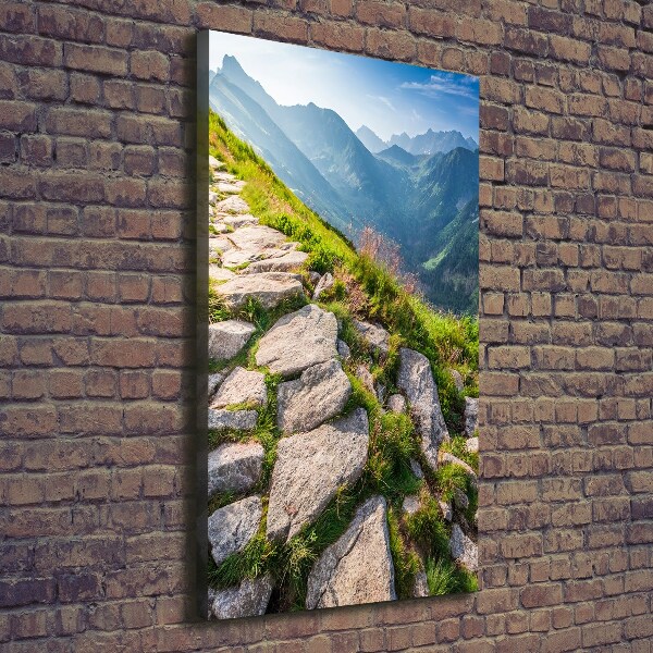 Verticale foto op canvas Bergpad