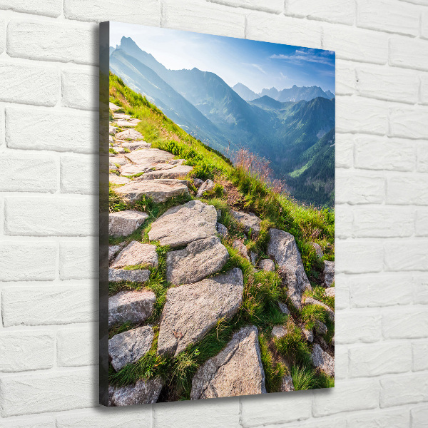 Verticale foto op canvas Bergpad