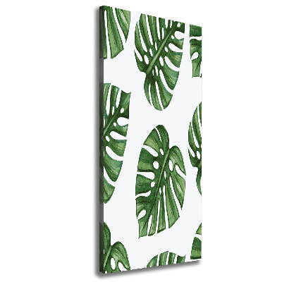 Foto obraz na płótnie do salonu pionowy Monstera