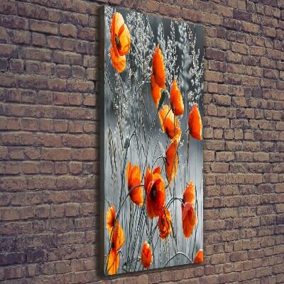 Foto obraz na płótnie do salonu pionowy Polne maki