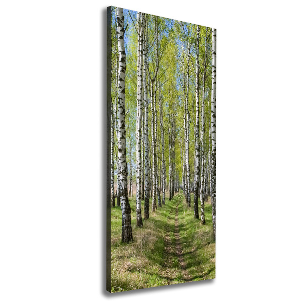 Verticaal canvasschilderij Berkenbos