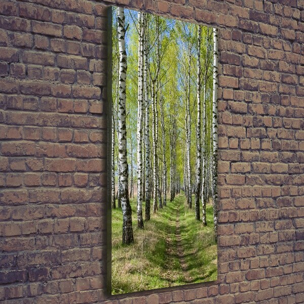 Verticaal canvasschilderij Berkenbos