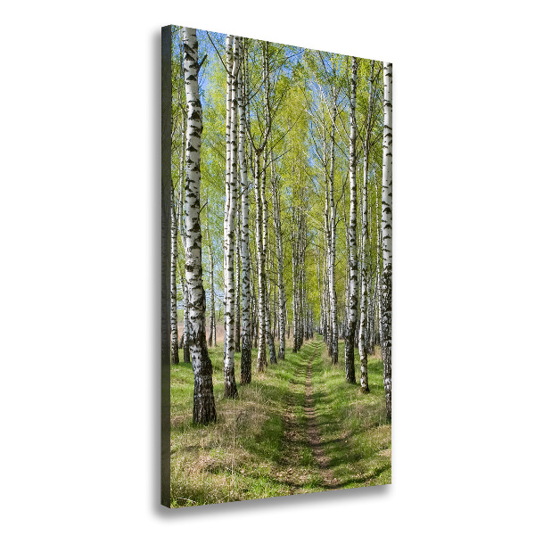 Verticaal canvasschilderij Berkenbos