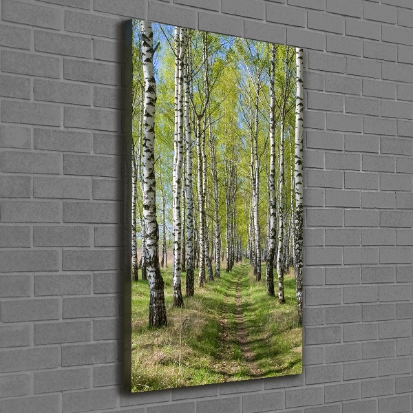 Verticaal canvasschilderij Berkenbos