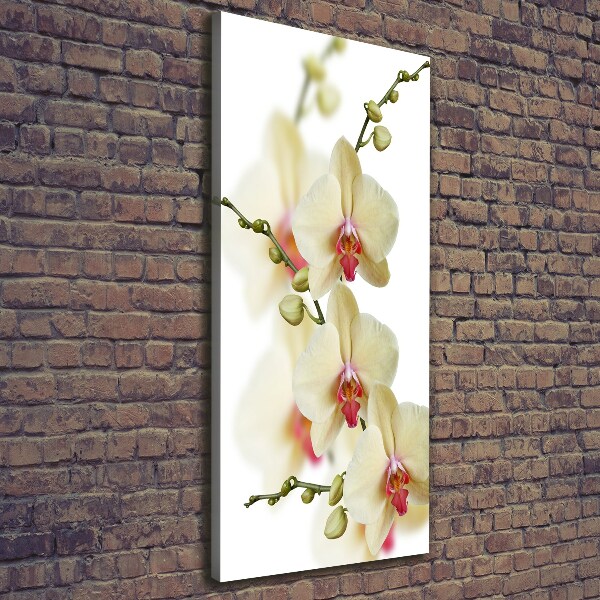 Verticaal schilderij op canvas Orchidee