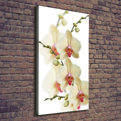 Verticaal schilderij op canvas Orchidee