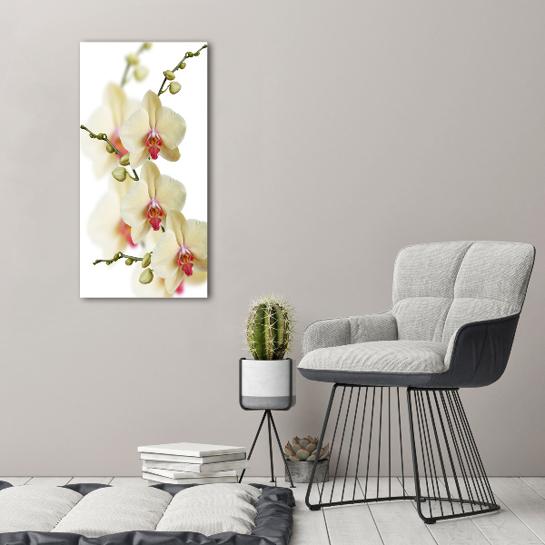 Verticaal schilderij op canvas Orchidee
