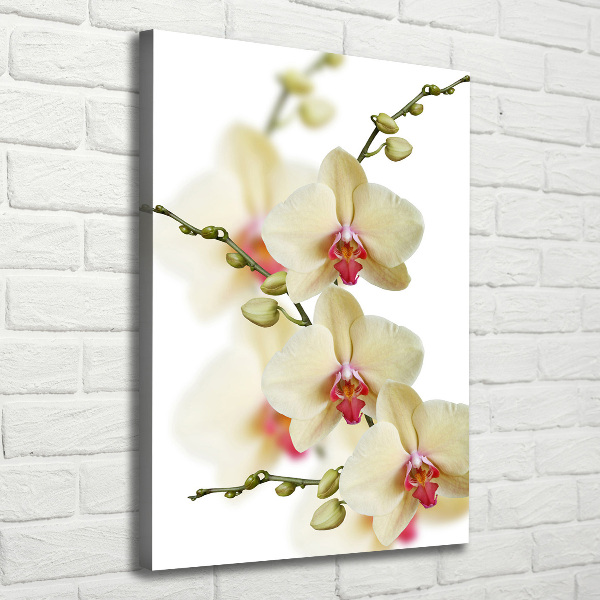 Verticaal schilderij op canvas Orchidee