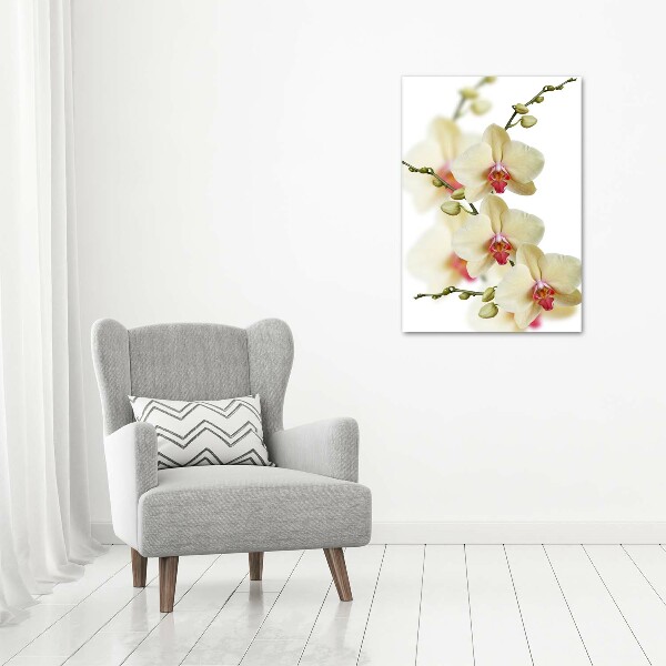 Verticaal schilderij op canvas Orchidee