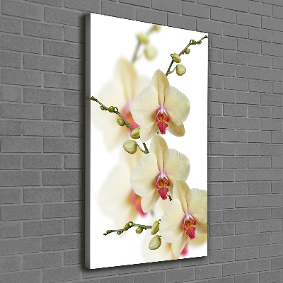 Verticaal schilderij op canvas Orchidee