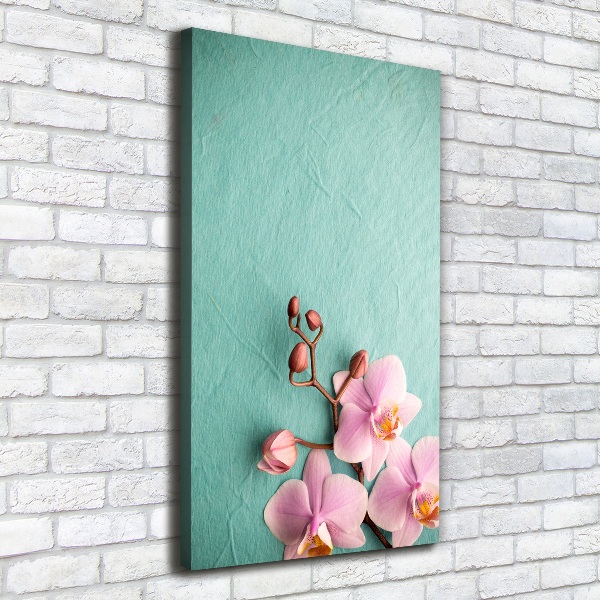 Verticale canvasfoto Roze orchidee