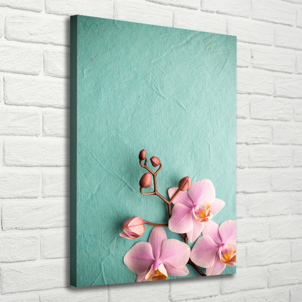Verticale canvasfoto Roze orchidee
