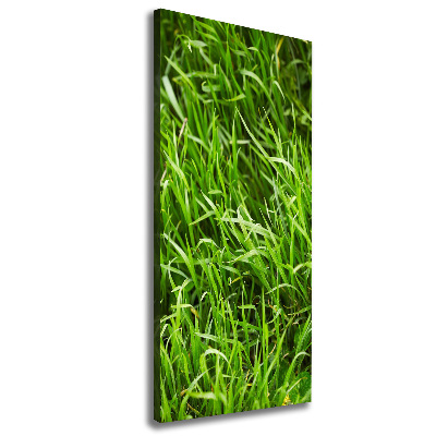 Verticale foto op canvas Gras