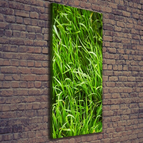 Verticale foto op canvas Gras