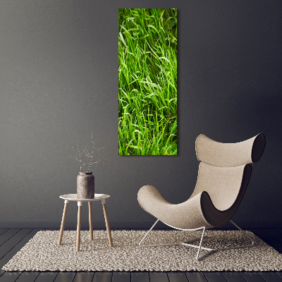 Verticale foto op canvas Gras