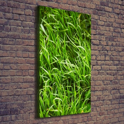 Verticale foto op canvas Gras