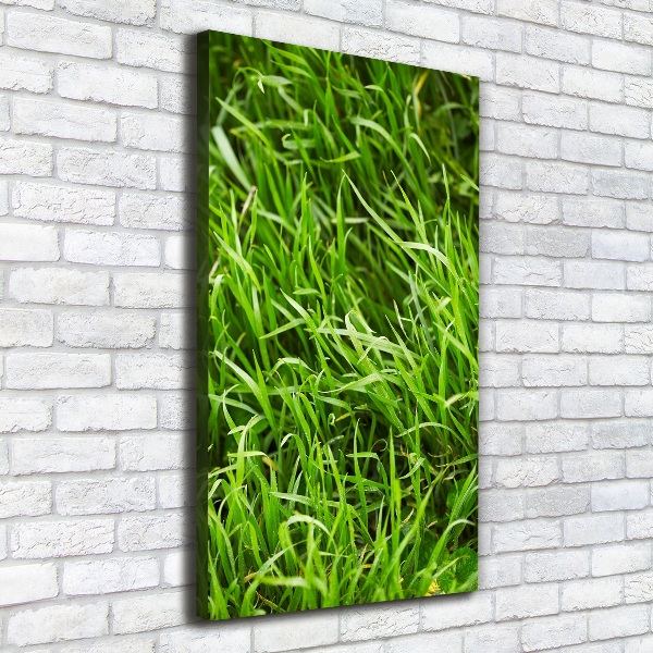 Verticale foto op canvas Gras