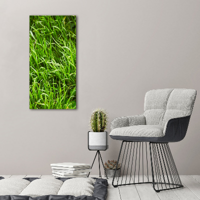 Verticale foto op canvas Gras