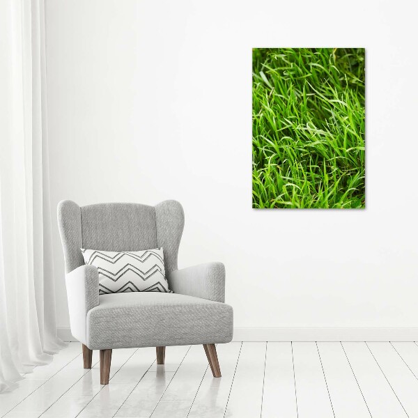 Verticale foto op canvas Gras