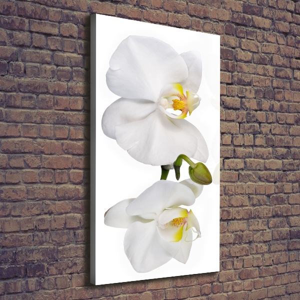 Verticaal canvasschilderij Witte orchidee