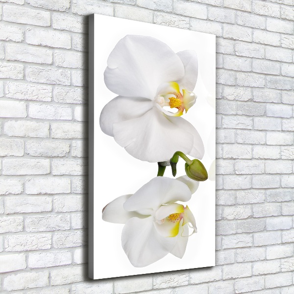 Verticaal canvasschilderij Witte orchidee