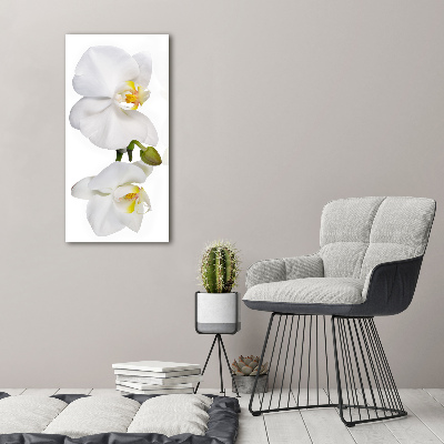 Verticaal canvasschilderij Witte orchidee