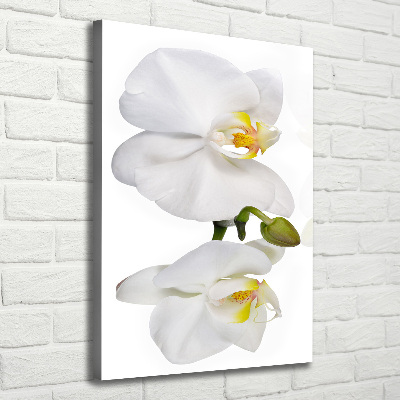 Verticaal canvasschilderij Witte orchidee
