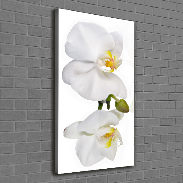 Verticaal canvasschilderij Witte orchidee
