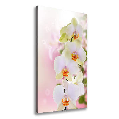 Verticaal schilderij op canvas Witte orchidee