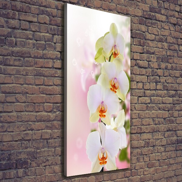 Verticaal schilderij op canvas Witte orchidee