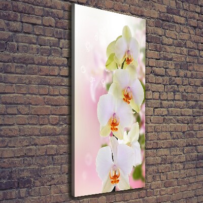 Verticaal schilderij op canvas Witte orchidee