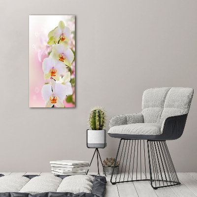 Verticaal schilderij op canvas Witte orchidee