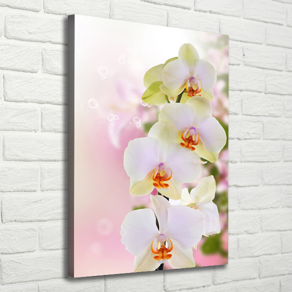 Verticaal schilderij op canvas Witte orchidee