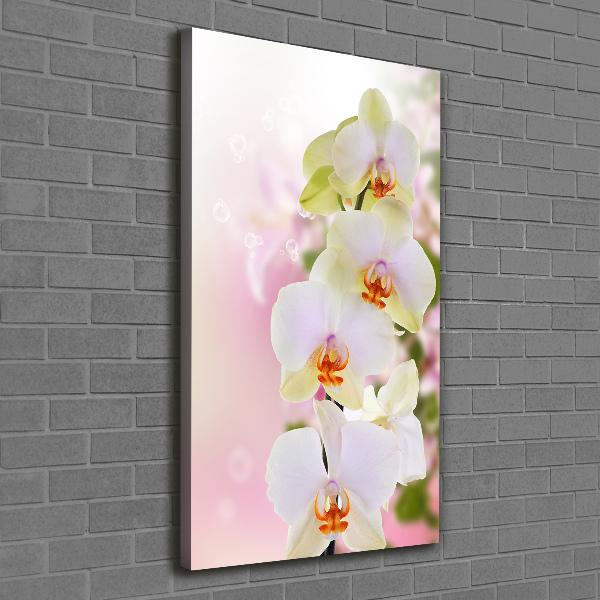 Verticaal schilderij op canvas Witte orchidee