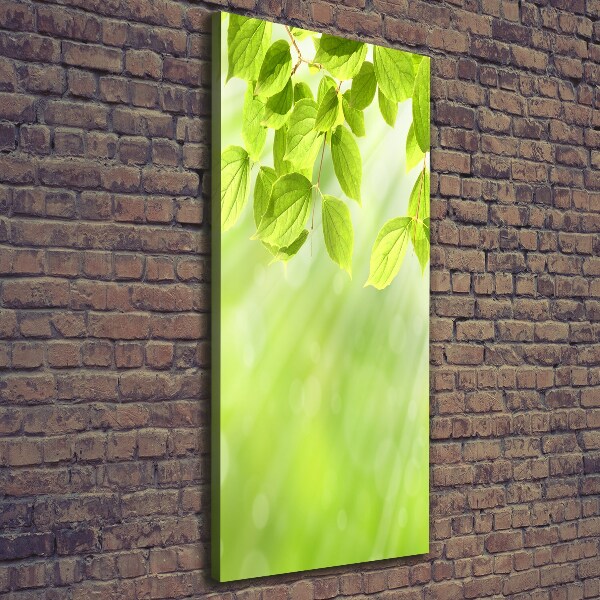 Verticale foto op canvas Groene bladeren