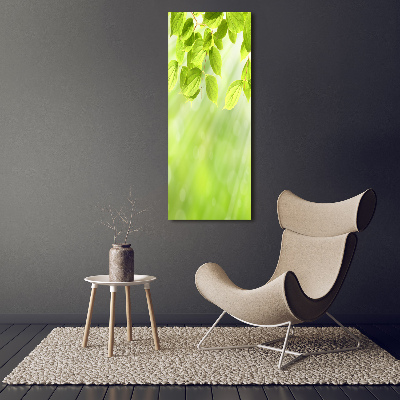 Verticale foto op canvas Groene bladeren