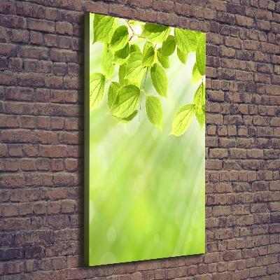Verticale foto op canvas Groene bladeren
