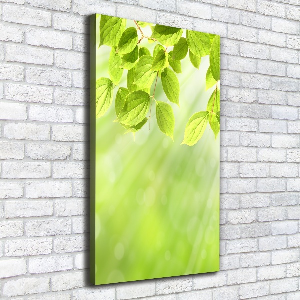 Verticale foto op canvas Groene bladeren
