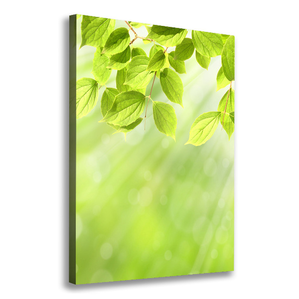Verticale foto op canvas Groene bladeren