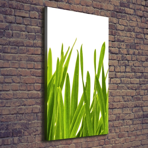 Verticaal schilderij op canvas Groen gras