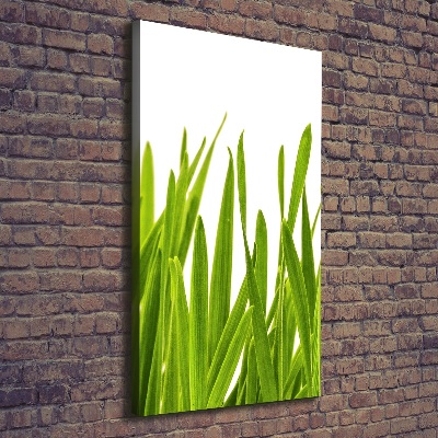 Verticaal schilderij op canvas Groen gras